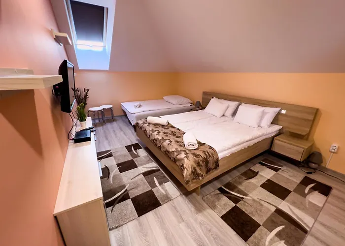 Feher Akac Wellness Vendeghaz * Nyiradony-Tamasipuszta